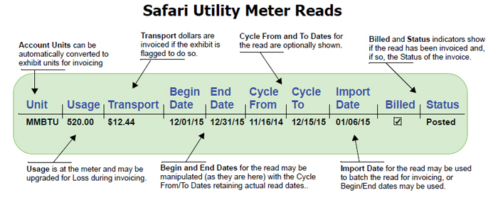 Safari Utility Meter Reads
